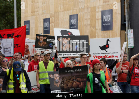 Hunderte von Tierschützern sammelten in Melbournes CBD am 6. April 2019, Victoria, Australien. Stockfoto