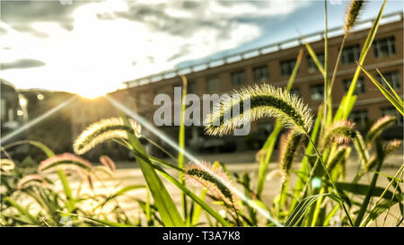 Urlaubsort Stockfoto