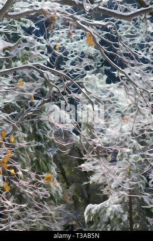 Malerische detail von frosted Zweigniederlassungen, die in einem Wald. Stockfoto