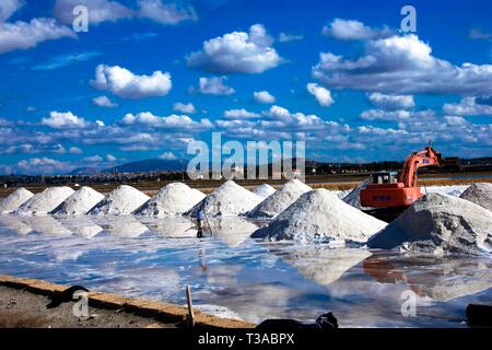 Meersalz in Ses Salines Mallorca, Spanien, Europa Stockfoto