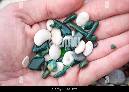Feine meer Kiesel auf einer Hand, kleinen grünen und weißen Steinen, Stücke von Glas. Stockfoto
