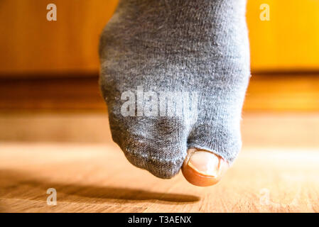 Kaputte Socke mit einem Loch in der grossen Zehe eines Mannes, Konzept der Armut während der Krise. Stockfoto