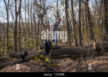 Zwei Männer, ein schwules Paar Hände halten, Wandern in Wäldern, einander helfen, die ein Protokoll. Stockfoto