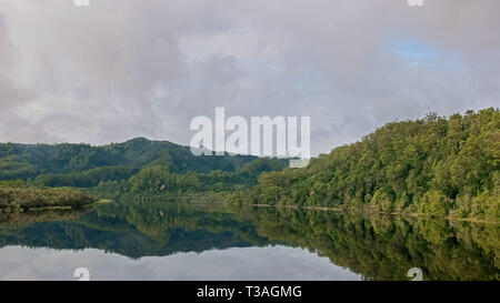 Regenwald und Gordon River Cruise in Tasmanien, Australien Stockfoto