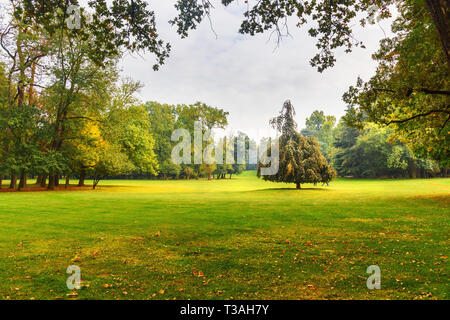 Monza große Park im Herbst. in Monza. Italien Stockfoto