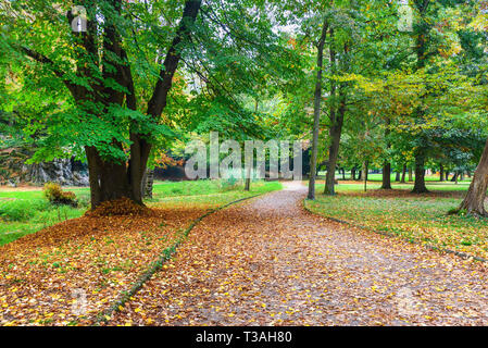 Monza große Park im Herbst. in Monza. Italien Stockfoto