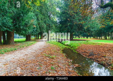 Monza große Park im Herbst. in Monza. Italien Stockfoto