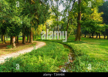 Monza große Park im Herbst. in Monza. Italien Stockfoto