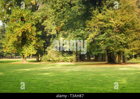 Monza große Park im Herbst. in Monza. Italien Stockfoto