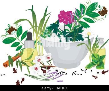 Satz von ätherischen Ölen Vektor-illustration Aromatherapie Stock Vektor