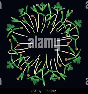 Microgreens Koriander. In einem Kreis angeordnet. Vitamin Supplement, veganes Essen. Schwarzer Hintergrund Stock Vektor