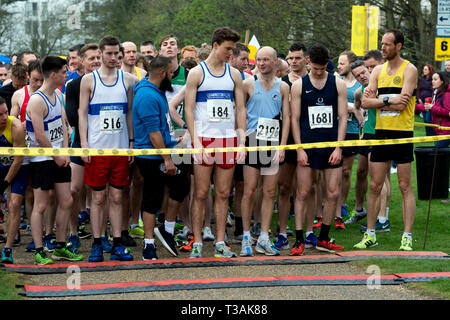 Läufer an der Startlinie eines 10k Rennen, Leamington Spa, Großbritannien Stockfoto