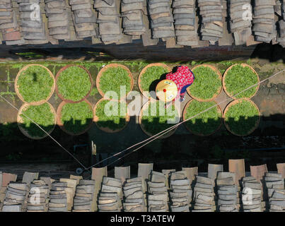 Peking, China. 7 Apr, 2019. Luftbild am 7. April 2019 zeigt einen Dorfbewohner Auswahl Tee Blätter zu einem Tee Pflanzen Basis in Baogai Stadt Hengnan County, zentralen Hunan Provinz Chinas. Quelle: Cao Zhengping/Xinhua/Alamy leben Nachrichten Stockfoto