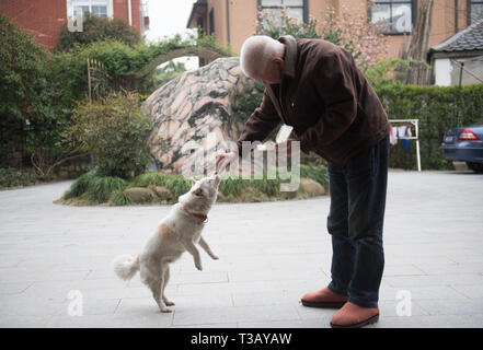 (190408) - Hangzhou, April 8, 2019 (Xinhua) - Der 76-jährige Wang Jiabao Feeds ein Hund außerhalb der Villa in Gangdong Dorf Yuhang Bezirk von Hangzhou, der East China Zhejiang Provinz, 29. März 2019. 2017, Zhu Ronglin hatte eine Idee, einige ältere Menschen einladen, in seiner Villa zu leben, dass Sie sich aufhängen können und kümmern sich um einander. Er veröffentlicht die Informationen auf der Zeitung und einige Bürger, die interessiert waren, um seine Villa nach dem Bezahlen für Ihre grundlegenden Livings verschoben. Nun, es gibt ein Dutzend lebende ältere Menschen in seiner Villa und Sie erledigen die Hausarbeit und Unterhaltung Tätigkeit teilnehmen Stockfoto