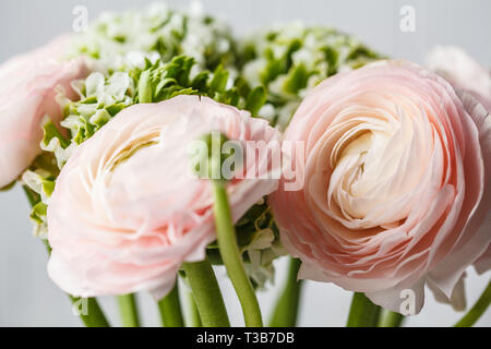 Blumenstrauß aus schönen frischen rosa Ranunkeln Blumen, weißen Hintergrund. Stockfoto