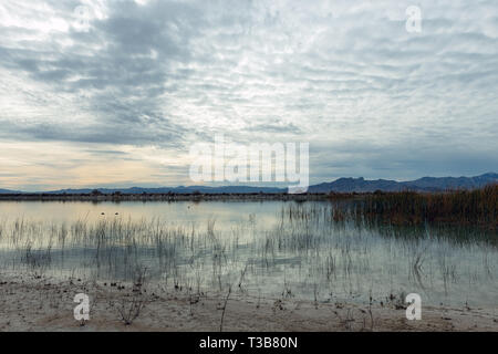 Crystal Reservoir in tha Ash Meadows National Wildlife Refuge, Nevada, USA Stockfoto