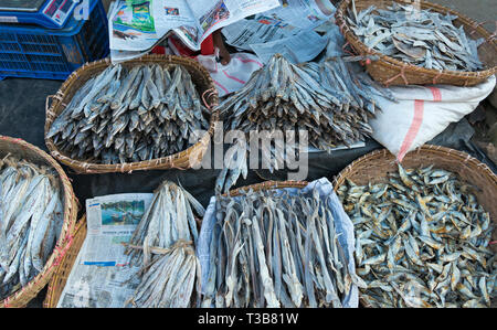 Verkaufen Fische am lokalen Markt, Bandarban, Division Chittagong, Bangladesch Stockfoto