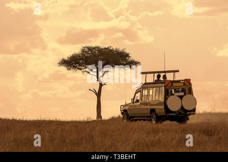 Touristische genießen Sie einen wunderschönen Sonnenuntergang im Masai Mara, Kenia Stockfoto