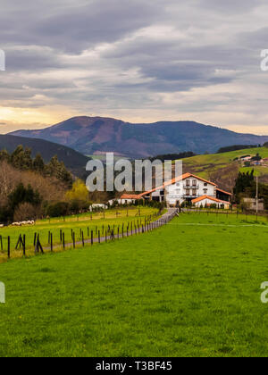 Bauernhof des Baskenlandes mit einer Herde Schafe an einem bewölkten Tag, Bermeo Stockfoto