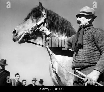 Entwurf - Pferd, 1940-45 Stockfoto