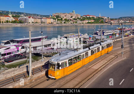 Ungarn, Budapest, Blick von der Elisabeth Brücke über die Donau auf dem Burgberg mit der Tram Nr. 2 im Vordergrund. Stockfoto