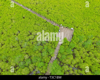 Drone Fotografie der Blick aus der Vogelperspektive trieb Mangrovenwald mit vielen Besucher genießen Sie den Blick auf hölzernen Boardwalk, Rayong, Thailand Stockfoto