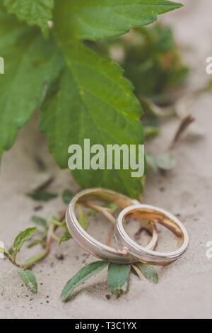 Schöne Hochzeit Ringe Hochzeit Stockfoto