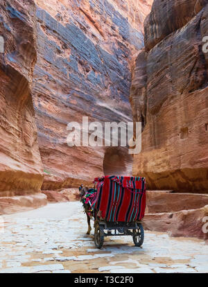 Eine Kutschenfahrt mit Touristen in der siq Schlucht zum Haupteingang des antiken nabatäische Stadt Petra, Jordanien. Stockfoto