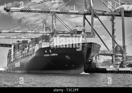 Moody Schwarz-weiß-Foto des Giant Evergreen Container Ship, EVER LIBRA, Be- und Entladung im Hafen von Los Angeles, Kalifornien, USA. Stockfoto