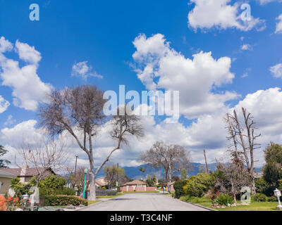 Temple City, 30.03.28: Bäume, Gebäude, Auto von Downtown am 28.März 2019 im Temple City, Los Angeles County, Kalifornien Stockfoto