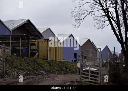 Scottish Sea Farmen lachs Fischzuchtanstalt mit Blick auf Loch Creran Stockfoto