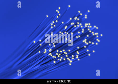 Fibre optische Netzwerkkabel Nahaufnahme Stockfoto