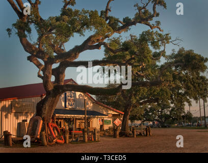 Ein live oak steht vor Marshall Marine Supply in Bayou La Batre, Ala., 3. Juli 2010. Stockfoto