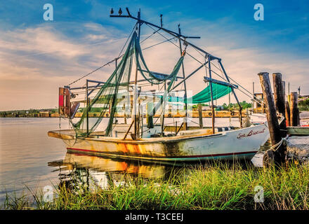 Die Sonne auf dem Meer Keks, 12.08.31, 2014, in Bayou La Batre, Alabama. Stockfoto