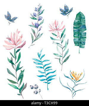 Aquarell rosa Rose, inkalilie Lilie, weiße Pfingstrose, Hortensie, Eukalyptus, Pflanzen und Kräuter. Hochzeit Blumen Stockfoto