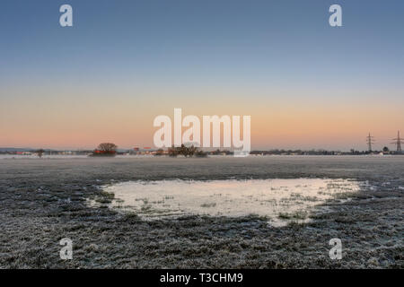 Kalter morgen im Sumpf unter den Sonnenaufgang. Stockfoto