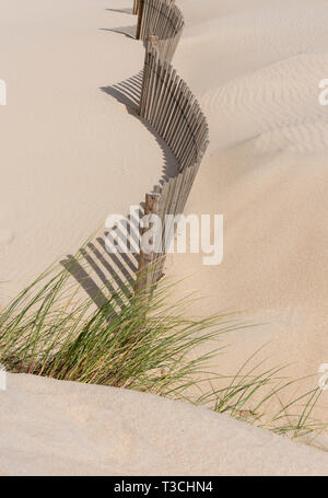 Holz Zäune in den Dünen, der Sand aus in Bewegung zu halten, Costa Nova, Aveiro, Portugal Stockfoto