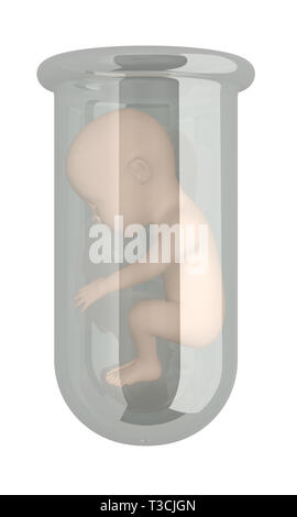 Menschliche Embryo in vitro isoliert auf Weiss. 3D-Rendering Stockfoto