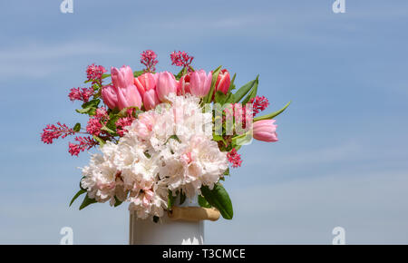 Bunten Strauß von rosa und weißen Blumen mit Tulpen, weiß Rhododendron blüht und weigela an einem sonnigen Tag mit blauen Himmel Stockfoto