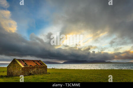 Verfallene Scheune an Clestrain, Orkney Inseln. Stockfoto