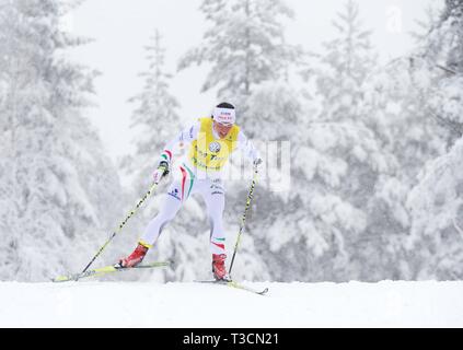 SM-Woche in Ånnaboda, Örebro, Schweden, 10 km Freistil. Charlotte Kalla, Piteå Elit SK. Foto Jeppe Gustafsson Stockfoto