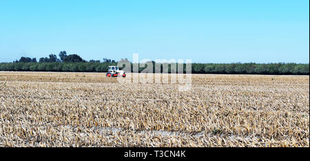 Einen alten Traktor sitzen nur in einem Feld Stockfoto