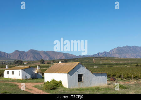 Landarbeiter Cottages in der Robertson Valley mit Langeberg Mountains, Klaasvoogds, Western Cape Town, Südafrika Stockfoto