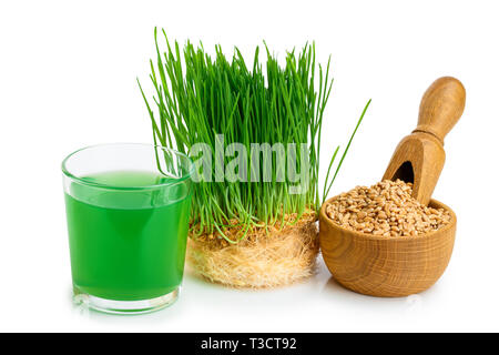 Wheatgrass Saft mit Gekeimten Weizen auf weißem Hintergrund. Stockfoto