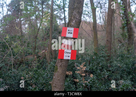 USA und China Handelskrieg Konzept - in einer Welt, die als Wald Signale auf den Weg der beiden wirtschaftlichen Rivalen Stockfoto