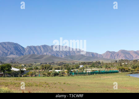 Sheilam Kaktus Farm am Fuße der Langeberg Mountains, klaasvoogds Meander, Robertson Valley, Western Cape, Südafrika Stockfoto