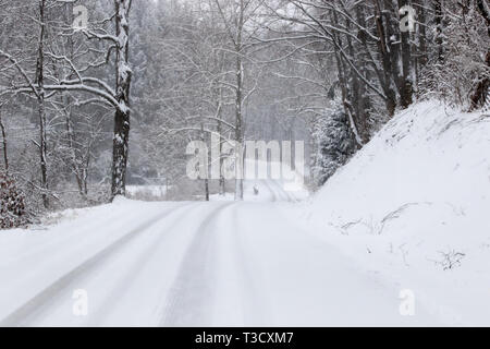 Verschneite Straße im Land. Stockfoto