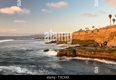 Wellen vom Pazifischen Ozean Absturz auf felsigen Küstenlinie entlang der berühmten Sunset Cliffs Natural Park, Point Loma, San Diego, CA, USA Stockfoto