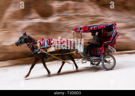 Eine Kutschenfahrt mit Touristen in der siq Schlucht zum Haupteingang des antiken nabatäische Stadt Petra, Jordanien. Stockfoto