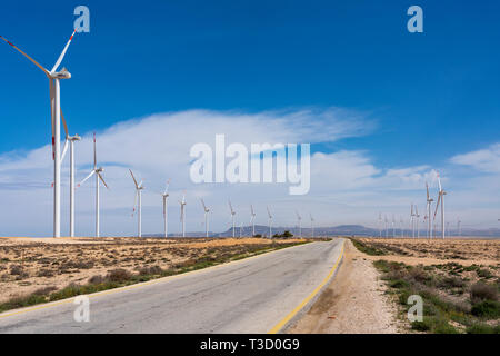 Windenergieanlagen an einem neuen Windpark neben King's Highway in Ma'an governatorats in Jordanien. Stockfoto